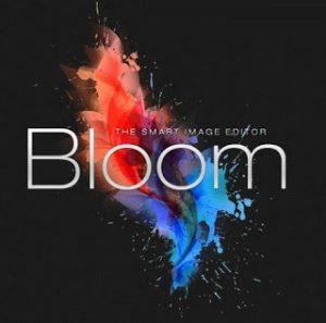 Bloom Editor