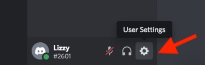 Make Your Discord Tag Different